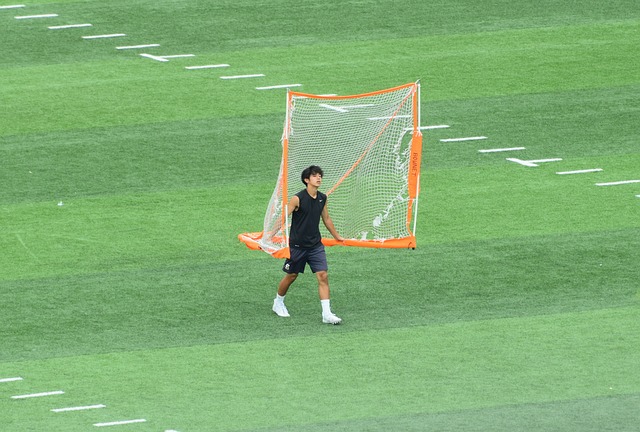景未来很可