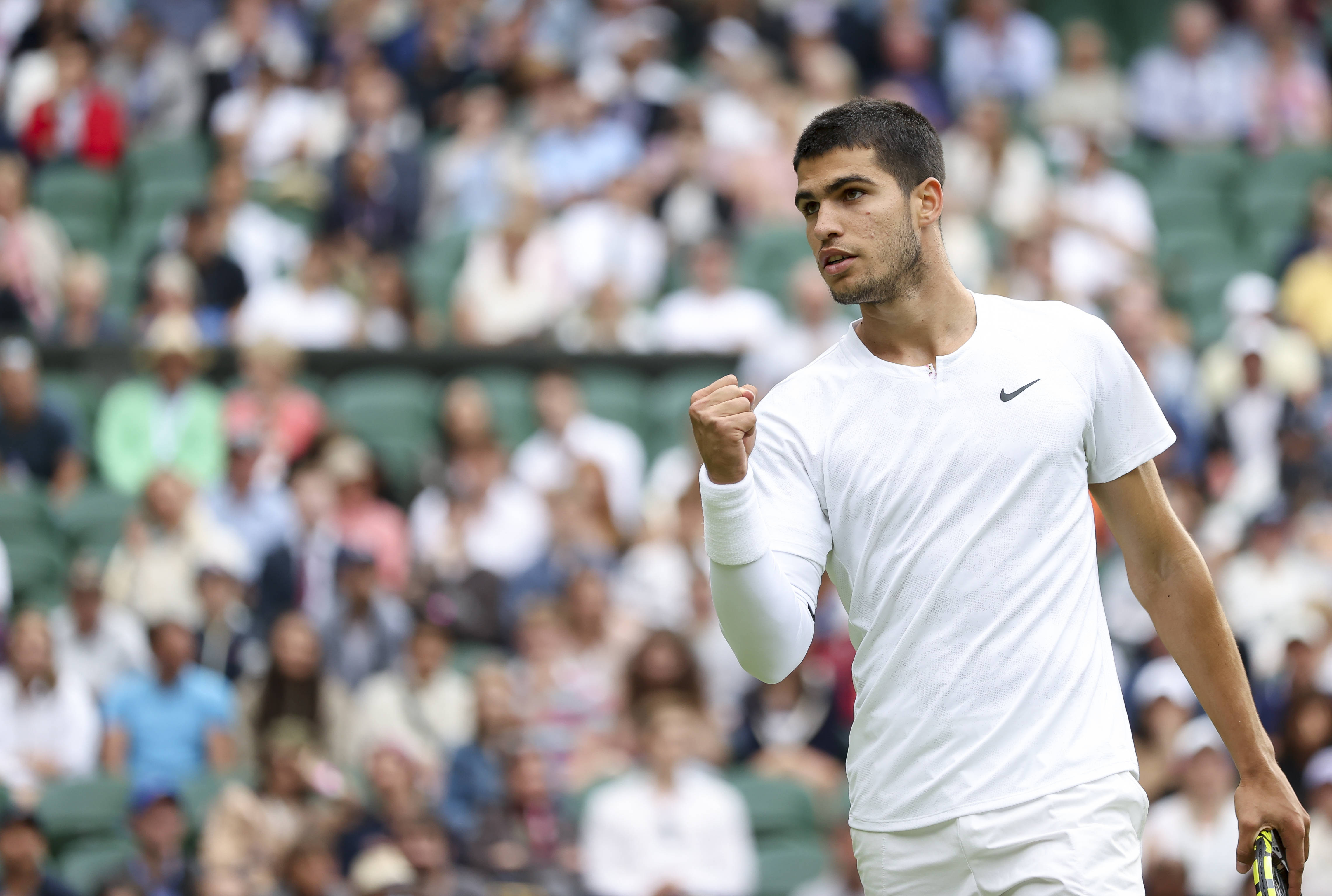 巴西的维尼 巴西的维尼